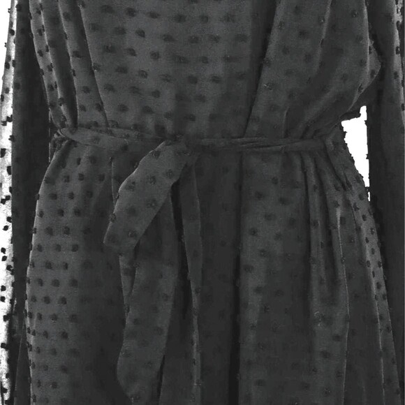 Dress Size S Black Sheer Chiffon Dotted Swiss Cute Goth Victorian Castle Regency - Picture 5 of 12